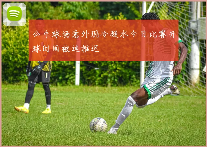 公牛球场意外现冷凝水今日比赛开球时间被迫推迟
