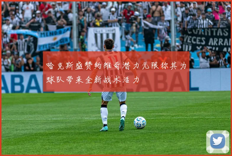 哈克斯盛赞约维奇潜力无限称其为球队带来全新战术活力