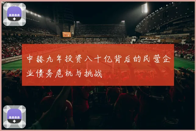 中赫九年投资八十亿背后的民营企业债务危机与挑战