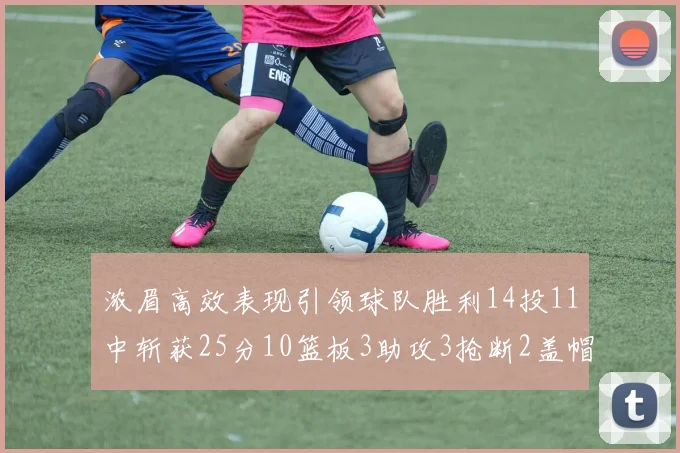 浓眉高效表现引领球队胜利14投11中斩获25分10篮板3助攻3抢断2盖帽